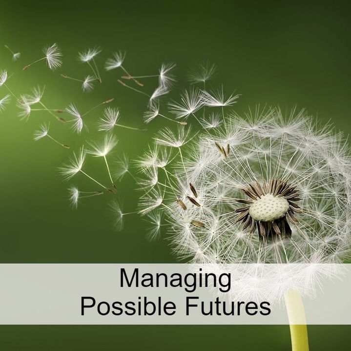 Managing Possible Futures: link to titles