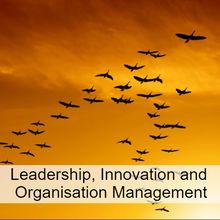 Leadership, Innovation and Organization Management: link to titles